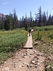 photo thumbnail #6