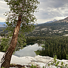 photo thumbnail #15