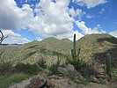 photo thumbnail #2