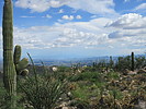 photo thumbnail #6