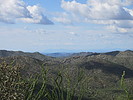 photo thumbnail #7