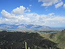 photo thumbnail #9