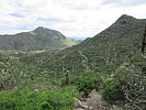 photo thumbnail #12