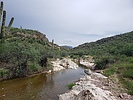 photo thumbnail #5