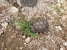 photo thumbnail #6