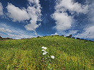 photo thumbnail #15