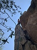 photo thumbnail #10