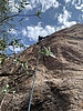 photo thumbnail #8