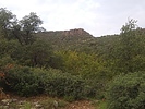 photo thumbnail #10