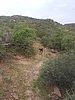 photo thumbnail #12