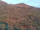 photo thumbnail #14