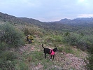 photo thumbnail #15