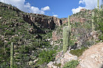 photo thumbnail #5