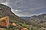 photo thumbnail #7