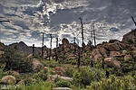 photo thumbnail #13