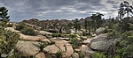 photo thumbnail #15