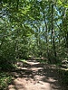 photo thumbnail #1