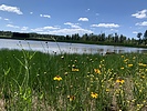 photo thumbnail #1