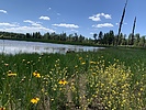 photo thumbnail #2