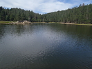recent photo