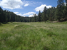 recent photo