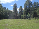 photo thumbnail #9