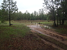 photo thumbnail #6