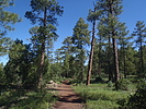 photo thumbnail #2