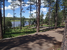 recent photo