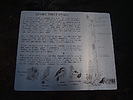 photo thumbnail #15