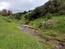 photo thumbnail #13