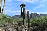 photo thumbnail #4