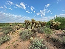 photo thumbnail #11