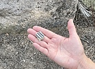 photo thumbnail #7