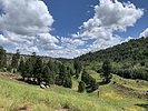 photo thumbnail #11