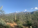 photo thumbnail #4