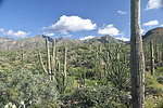 photo thumbnail #6
