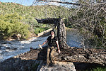 photo thumbnail #15