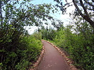 photo thumbnail #5