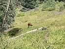 photo thumbnail #8