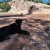 photo thumbnail #4
