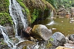 photo thumbnail #13