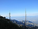photo thumbnail #4