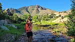 photo thumbnail #5