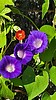 photo thumbnail #8