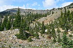 photo thumbnail #15
