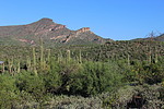 photo thumbnail #7
