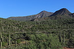 photo thumbnail #9