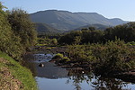 photo thumbnail #15