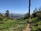 photo thumbnail #3